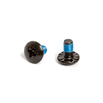 Two black screws with blue thread locker, designed for use with HO Sports Direct Connect mounting system.
